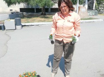Людмила Воробейчик приняла участие в акции по высадке цветов, посвященной победе в Великой Отечественной войне